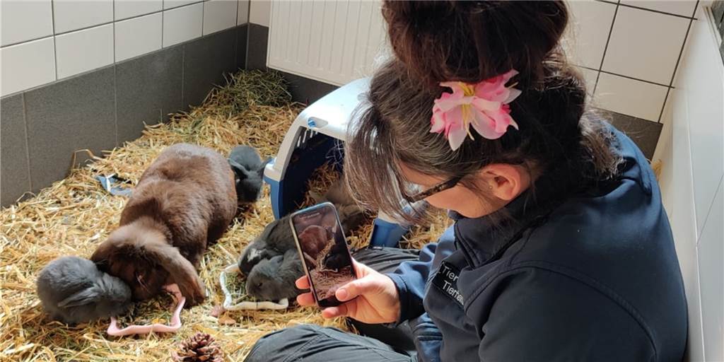 Tierheim-TV: Tierische Bewohner werden im Internet zu „Filmstars“ Tierheim-TV: Tierische Bewohner werden im Internet zu „Filmstars“