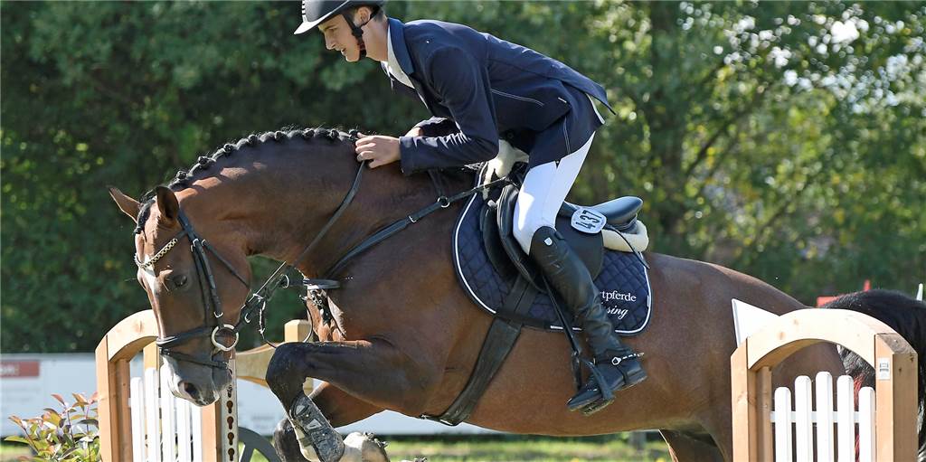 Trotz Trainingsverbot: In Reitvereinen muss auch nun Betrieb herrschen Für die Reitsportler in der Region wie Reto Weishaupt stellen sich aktuell besondere Bedingungen. Das Bewegen und die Pflege der Pferde stehen im Mittelpunkt.