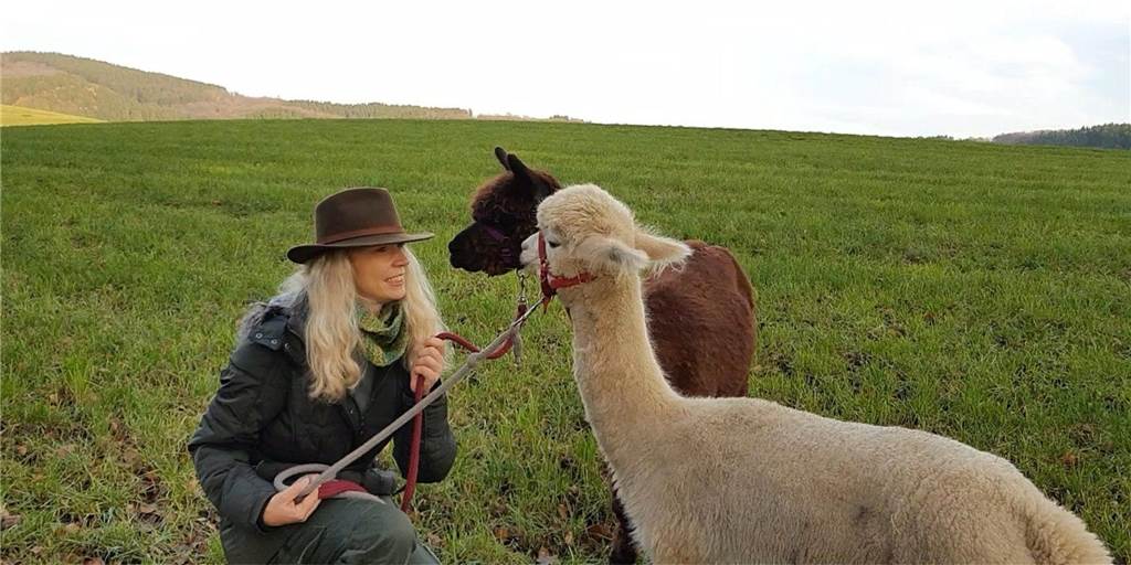 Alpakas in Castrop-Rauxel: Kathrin Wegner bietet tiergestützte Pädagogik Kathrin Wegner, die Crew-Chefin von "Alpaka Balou und seine Crew", bietet demnächst tiergestützte Pädagogik mit Alpakas in Castrop-Rauxel an.