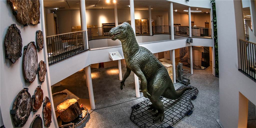 Corona-Krise: Große Wiedereröffnung des Naturmuseums geplatzt Corona-Krise: Große Wiedereröffnung des Naturmuseums geplatzt