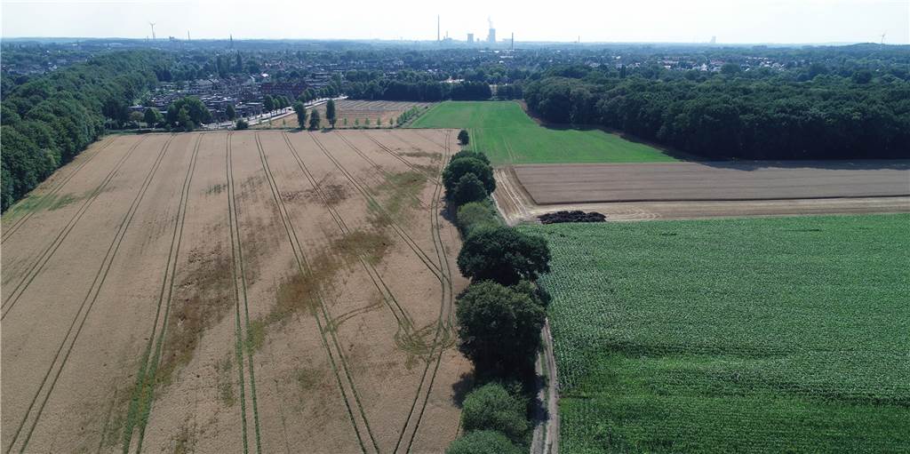 Die Trockenheit setzt auch den Feldern und damit den Landwirten zu,