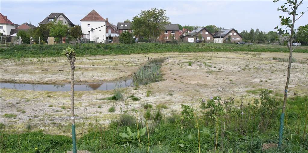 Selms neuer Auenpark: Bauarbeiten biegen auf die Zielgerade ein Neue Bäume, ein neuer Bachlauf: Der Auenpark nimmt Gestalt an. Zwei Monate dauert es aber noch bis zur Eröffnung.