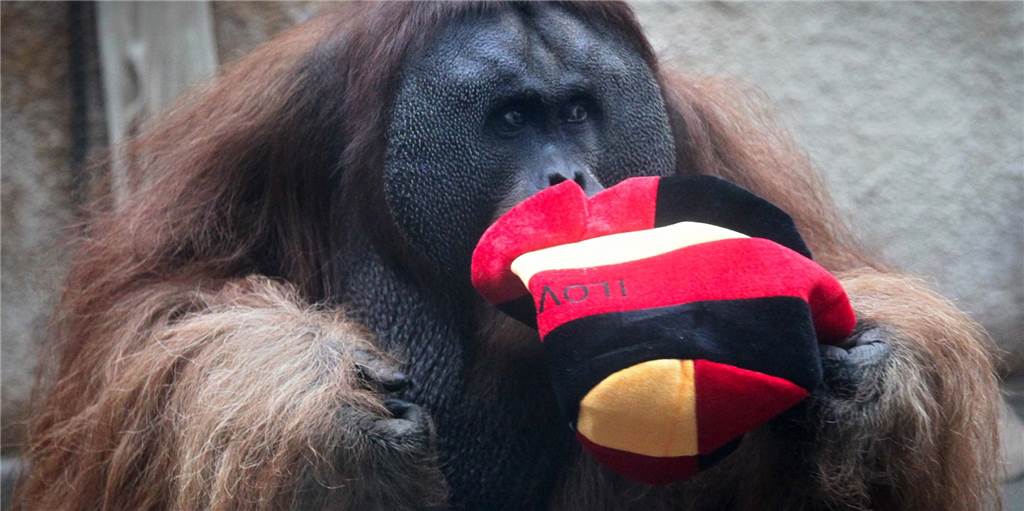 Darum gilt die Maskenpflicht im Zoo Dortmund auch im Freien Darum gilt die Maskenpflicht im Zoo Dortmund auch im Freien