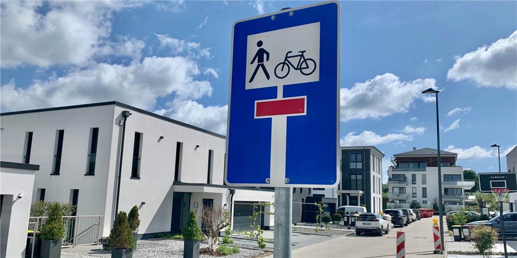 Der reale Irrsinn: Sackgassen-Schild am Phoenix-See steht in der Sackgasse Ganz am Ende des Röhrichtweges taucht dieses Schild auf.
