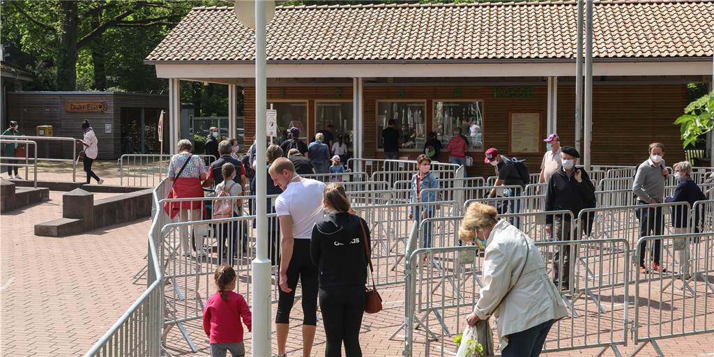 Erster Tag im Dortmunder Zoo – die Affen verstehen die Welt nicht mehr Erster Tag im Dortmunder Zoo – die Affen verstehen die Welt nicht mehr
