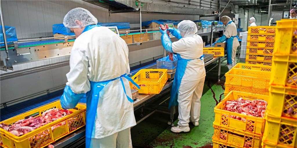 Westfleisch und Co.: Ohne Osteuropäer kein Kilo Fleisch für 4,19 Euro Die Arbeitsbedingungen in den Schlachthöfen und die sozialen Lebensumstände Tausender osteuropäischer Werkvertragsarbeiter geraten durch das Coronavirus in den Fokus.