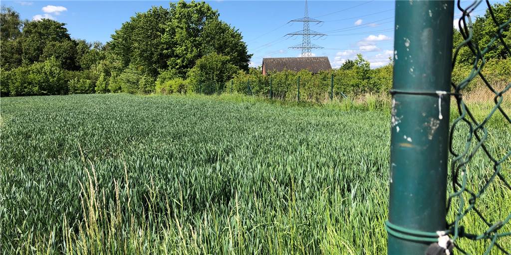 Grüne und Naturschutzverbände gegen Weiterbau der Brackeler Straße Etwa hier würde die Trasse der weitergebauten L663n verlaufen. Unser Foto entstand auf der Bienenstraße und zeigt den Blick nach Westen