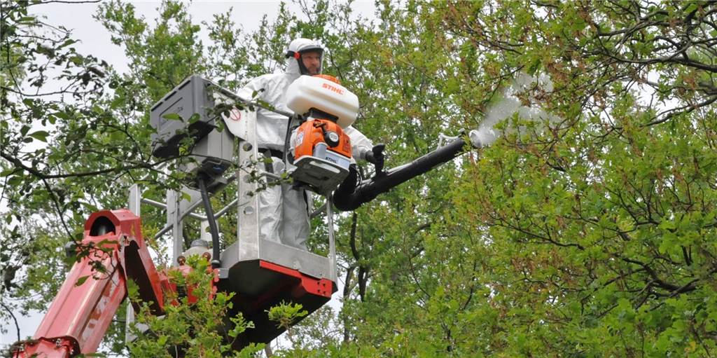 So läuft der Kampf gegen den Eichenprozessionsspinner in Castrop-Rauxel Robert Stock von der Firma Kampermann & Söhne bekämpft mit einer Mischung aus Neemöl und Wasser den Eichenprozessionsspinner am Gänsebusch.