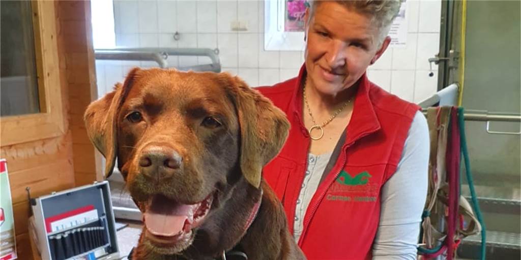 Carmen Hanken in Dortmund: Knochenbrecher-Witwe behandelt Tiere vor Ort Carmen Hanken konnte Assistenzhündin Hanni helfen. Jetzt sollen auch andere Hunde und Pferde aus Dortmund und Umgebung die Chance auf einen Termin mit Carmen Hanken bekommen.