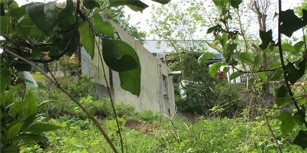 Das Gelände ist nur schwer zugänglich. Auch aus dem Garten eines Anliegers kann man durchs Gebüsch nur wenig erkennen.  