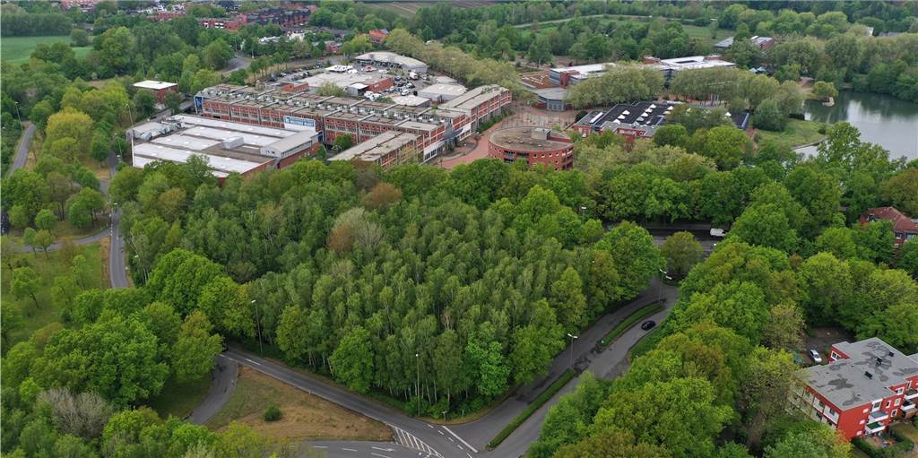 Dorstens Kita-Landschaft wird bunter - drei neue werden gebaut An der Marktallee, auf dem derzeit noch bewaldeten Grundstück, soll eine Kindertagesstätte gebaut werden.