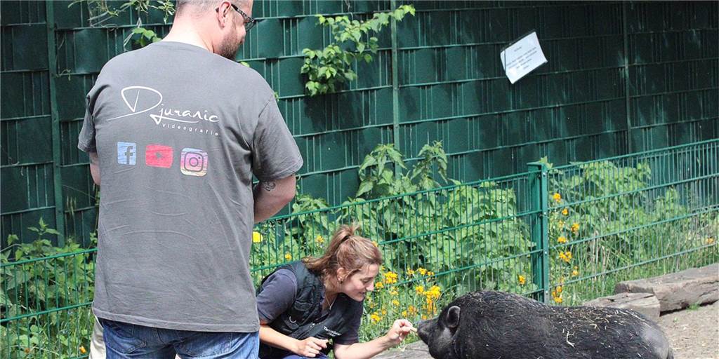 Profis drehen ehrenamtlich einen Imagefilm für das Tierheim Dorsten Profis drehen ehrenamtlich einen Imagefilm für das Tierheim Dorsten