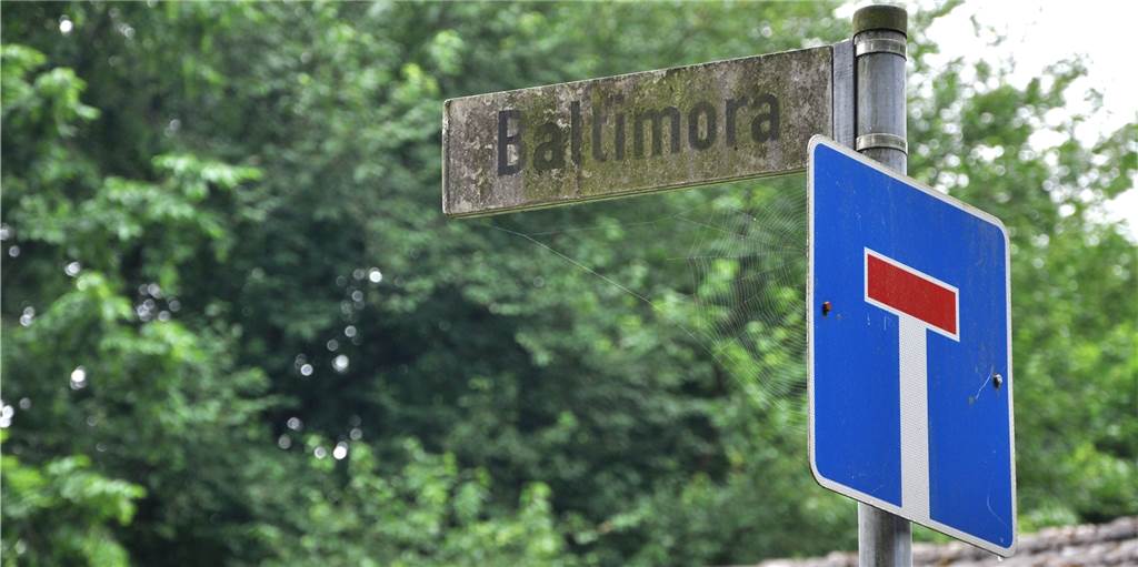 Wohnen in Baltimora: Wiese am Wald soll weichen für Haus im Grünen In der Sackgasse Baltimora soll ein neuer Bauplatz entstehen.
