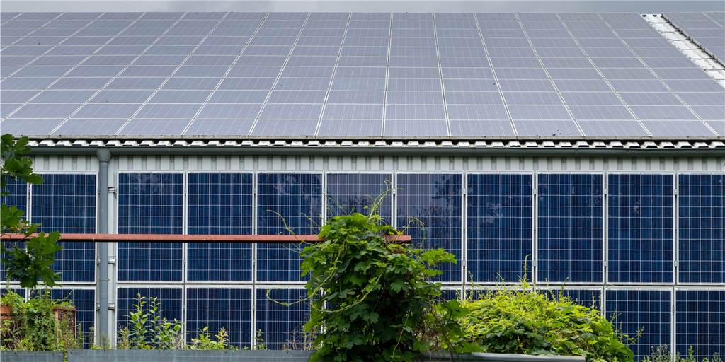 Firmen in Gaxel wollen Solaranlagen, Leitungen schaffen das aber nicht Im Industriegebiet Gaxel sind zahlreiche Dächer und sogar Wände mit Solaranlagen bedeckt.