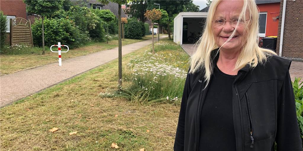 Jugendliche beschimpft: Daldrup sieht die Schuld beim Bürgermeister Auch wenn der Bauhof wie hier an einem Fußweg der Paßstraße nur etwa die Hälfte mäht, reicht dies Hildegard Daldrup im Kampf für Artenvielfalt und Insekten nicht aus.