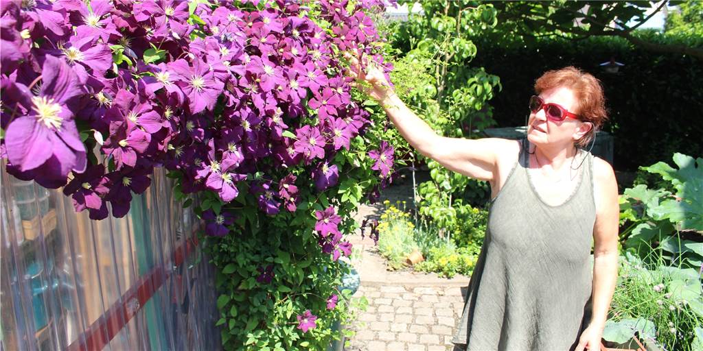 Pflanzen und Baumaterial: Birgit Meyers Garten besteht aus Geschenken Ihre Blumen erfreuen Birgit Meyer jeden Tag.