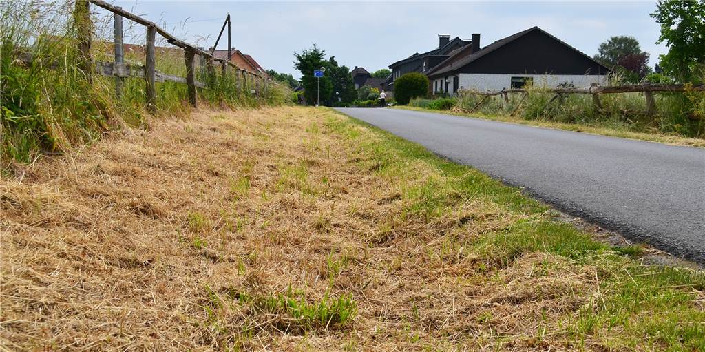 Freie Sicht statt Blumen - Blühstreifen in Becklem wurden abgemäht Hier leuchteten Blumen in vielen Farben - aber die breiten Blühstreifen an den Feldern in der Castrop-Rauxeler Ortschaft Becklem mussten abgemäht werden.