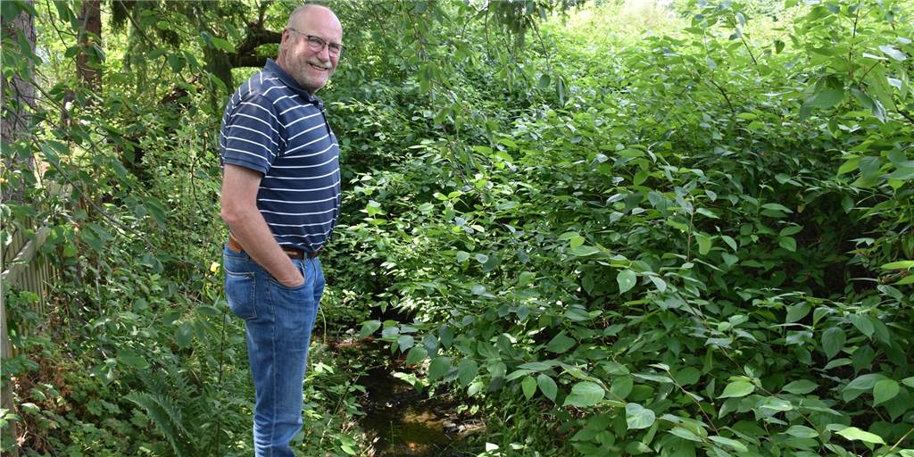 Kunterbunter Garten Eden: Pflanzen aus aller Welt