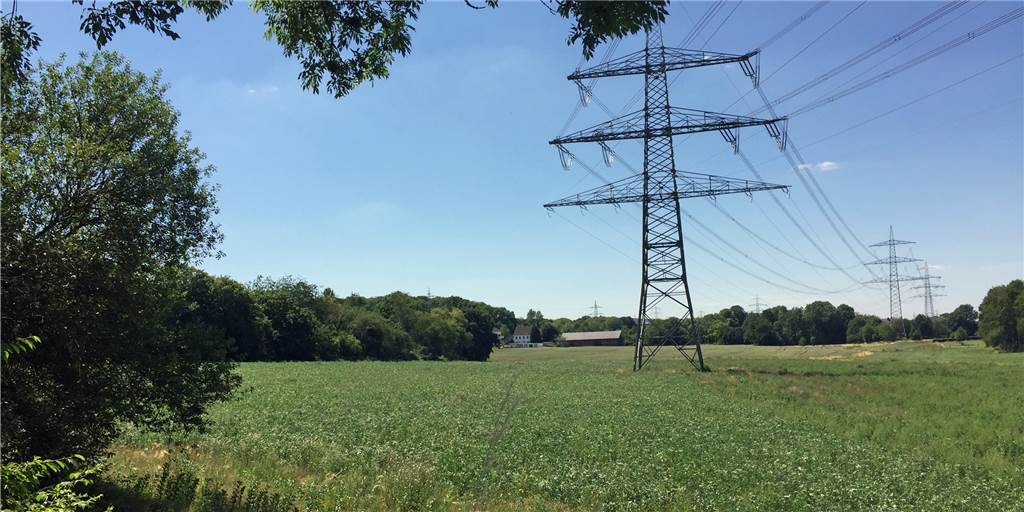 200 Unterschriften gegen Umspannwerk liegen nun im Rathaus Um diese Freifläche an der Gotthelfstraße geht es. Die Mitglieder der Bürgerinitiative halten andere Fläche für geeigneter.