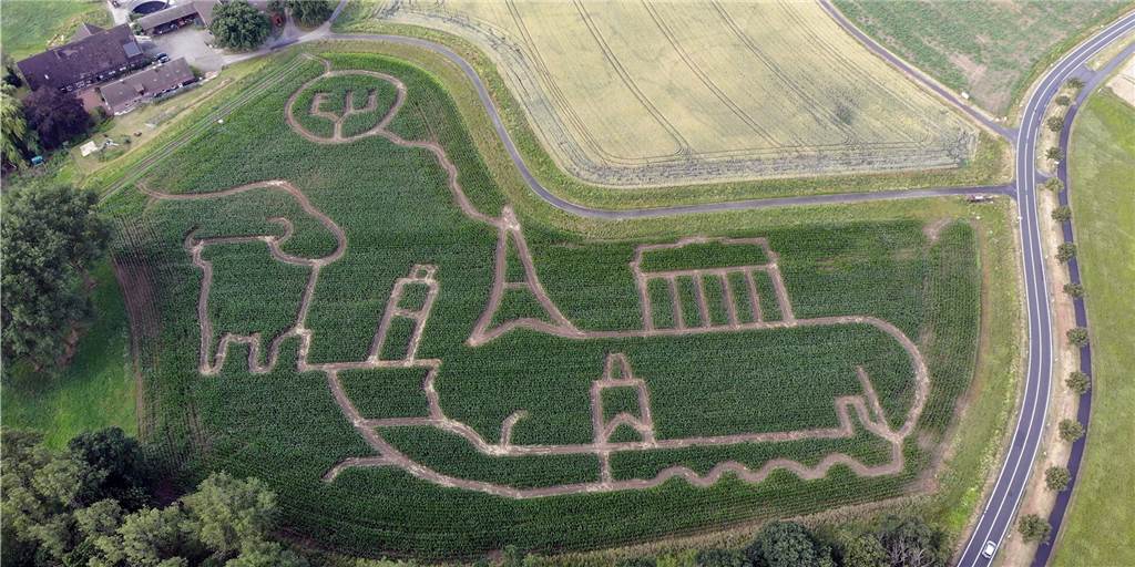 Maislabyrinth vom Hof Lünemann zeigt sich 2020 im Zeichen von Europa In diesem Jahr hat das Maisfeld von Benedikt Lünnemann wie auch schon im vergangenen Jahr einen aktuelle Form - sie symbolisiert Europa.