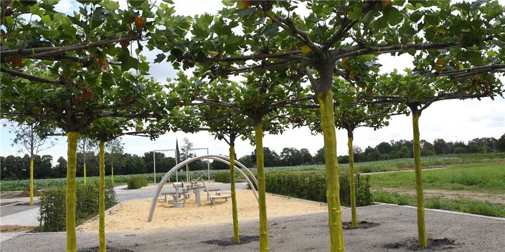 Auenpark Selm: Stadtspitze nennt Termin für die offizielle Eröffnung Ein idealer Treffpunkt, um zu plaudern. Auch das bietet der Selmer Auenpark künftig.