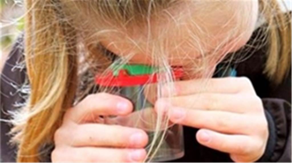 Ausflugstipp für Familien: Mit den „Waldmeistern“ die Wälder erkunden Kinder und auch Erwachsene können bei den lizensierten Waldführungen einiges entdecken.