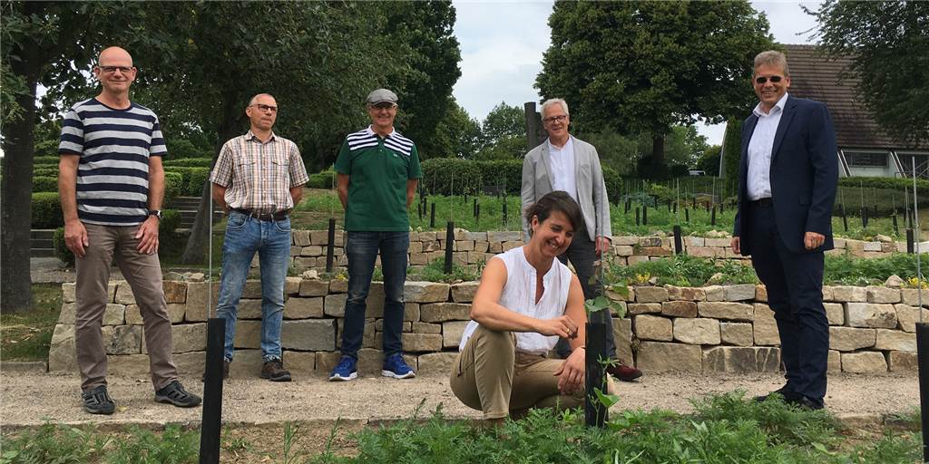In einem Dortmunder Weinberg kann man sich jetzt auch begraben lassen Winzerin Tina Krachten begutachtet die kleinen Rebstöcke auf dem Holzener Friedhof, gemeinsam mit Baudezernent Arnulf Rybicki (r.) und Vertretern der Dortmunder Friedhöfe.