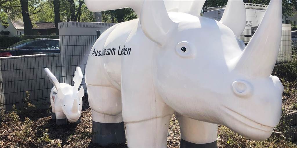 Nashorn-Familie ist wieder komplett Nashorn-Familie ist wieder komplett