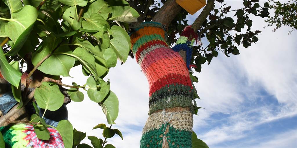 Garten-Serie: Eine Nordkirchenerin umhäkelt die Bäume in ihrem Garten Auch eine Art, Farbe in den Garten zu bringen: Die Nordkirchenerin Josefa Lobeck hat die Bäume in ihrem Garten umhäkelt.