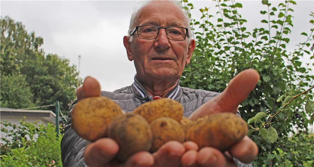 Walter Stenzel baut im Garten Kartoffeln und Chilis an – „die sind tödlich“ Auch wenn sein Garten nicht mehr primär der Nahrungsproduktion dient, gehört der Anbau von Kartoffeln für Walter Stenzel dazu.
