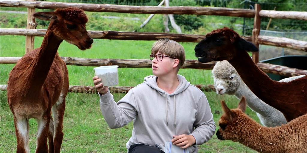 Dorstens kleinster Stadtteil bietet vor allem viel Lebensqualität Kim Brömmelhaus kümmert sich in Deuten um eine kleine Herde Alpakas.