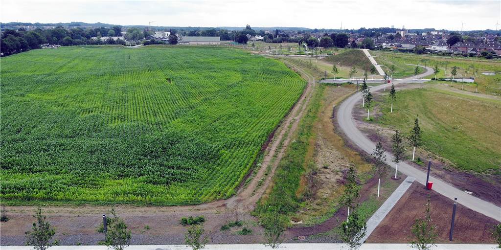 Wohnen am Auenpark: Elf Fragen zum Verkauf der Fläche in Selm Das grüne Feld ist das Selmer Wohngebiet der Zukunft. Daneben: der Auenpark, der kurz vor der Eröffnung steht.