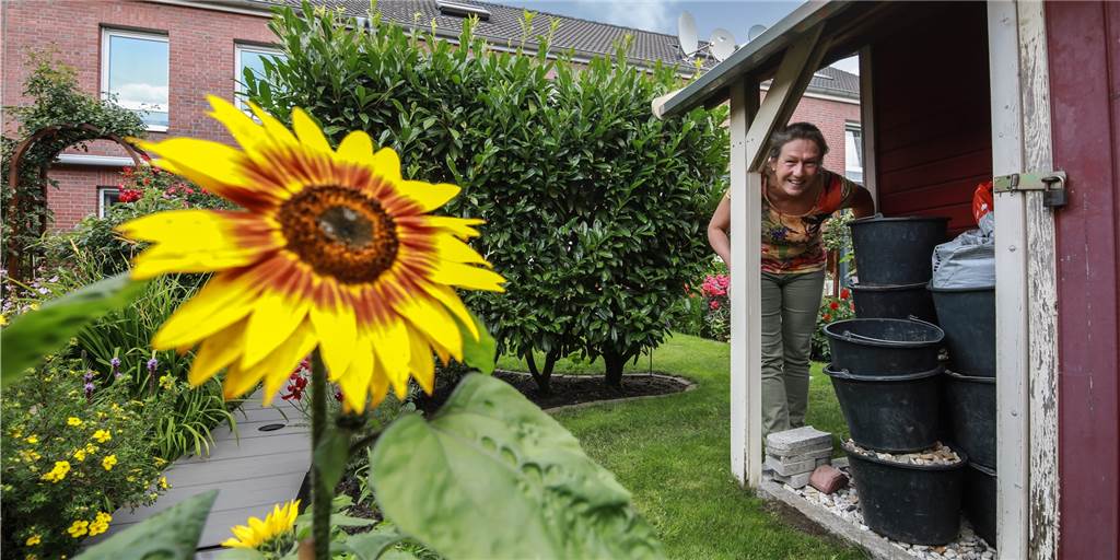 Sabine Wessollek hat einen bunten Reihenhausgarten - die Sonnenblume vorne ist nur ein kleiner Teil davon.