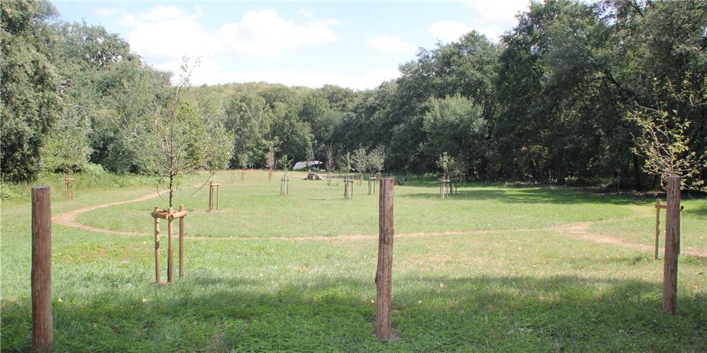 Hundewiesen in Olfen: Zeitplan für die Einrichtung steht nun fest Ähnlich wie hier im Hundewald von Tockhausen in Lünen soll es auch in Olfen bald zwei Hundeauslaufflächen geben.