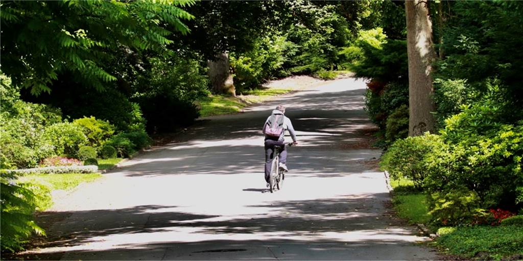 Wegen B1-Ausbau: Ein Radweg soll über den Hauptfriedhof führen Bis jetzt noch ein ungewöhnliches Bild: Ein Radfahrer auf dem Hauptfriedhof. Das würde sich mit einem neu gebauten Radweg ändern.