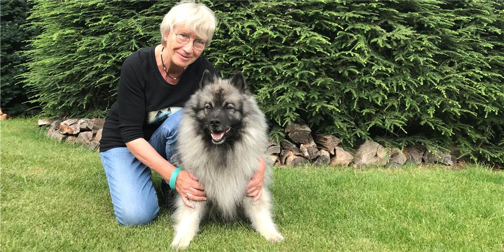 Garten-Serie: Wenn aus den Barhockern ein Parcours für den Hund wird Im Garten von Familie Hoffmann ist ein kleiner Psarcours für Hund Albert entstanden.