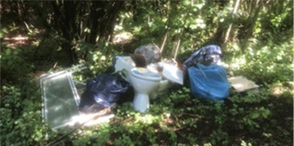 Umwelt-Frevler entsorgen Badezimmer-Einrichtung im Wald Die Bauabfälle fand Oliver Stenzel-Franken am Sonntag in Villigst.