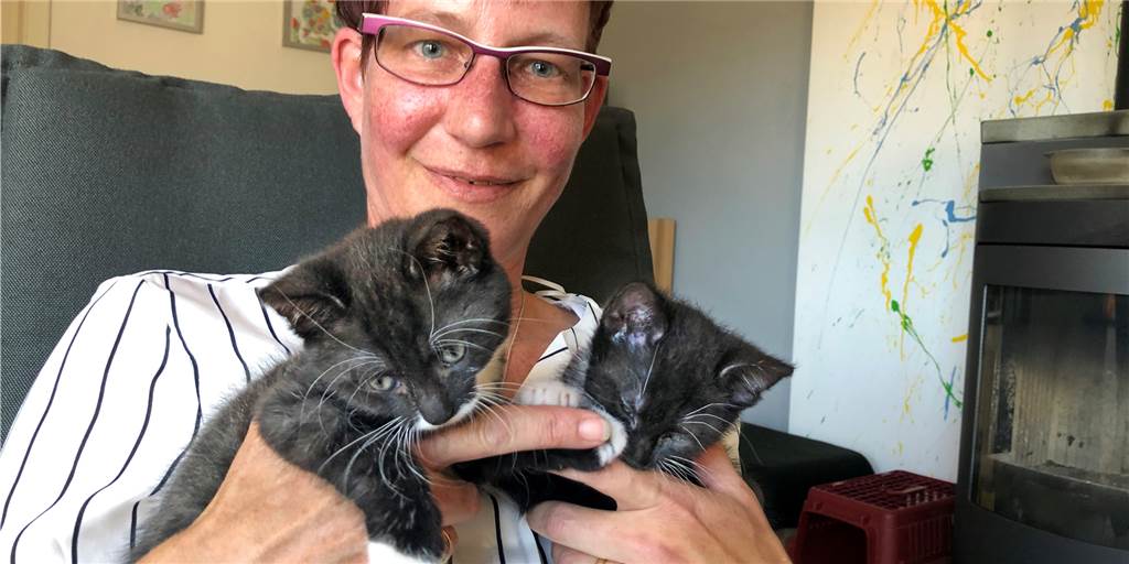 Katzenbabys zwischen Strohballen entdeckt – Sandra Wullers zog sie auf Sandra Wullers hat die Katzenbabys Bert (l.) und Ernie mit der Flasche aufgezogen.