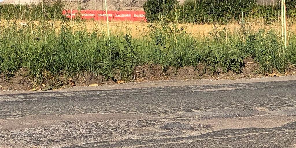 Kaputte Straßen: EUV arbeitet an vielen Stellen - oft wird es noch dauern So sieht es aktuell in und an der Oestricher Straße aus. Besonders am Anfang ist die Decke marode, in der Mitte ist es nach Flick-Aktionen gefühlt besser geworden. Die öffentliche Förderung fürs Sanieren hätte in vier Margen erfolgen sollen, für den EUV keine Option. Jetzt muss ganz neu überlegt werden. Natürlich im Zusammenhang mit den Plänen für das ehemalige Kraftwerksgelände.