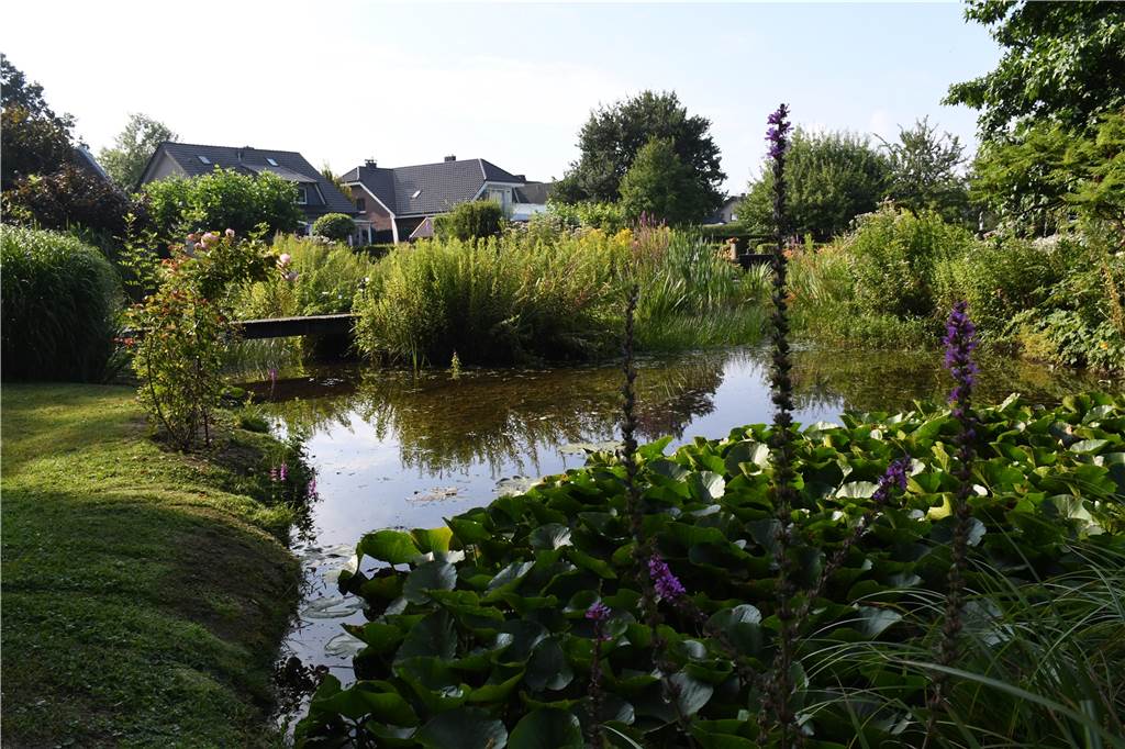 RN-Sommerserie: Udo Holz hat einen Cottage-Garten mitten in Selm