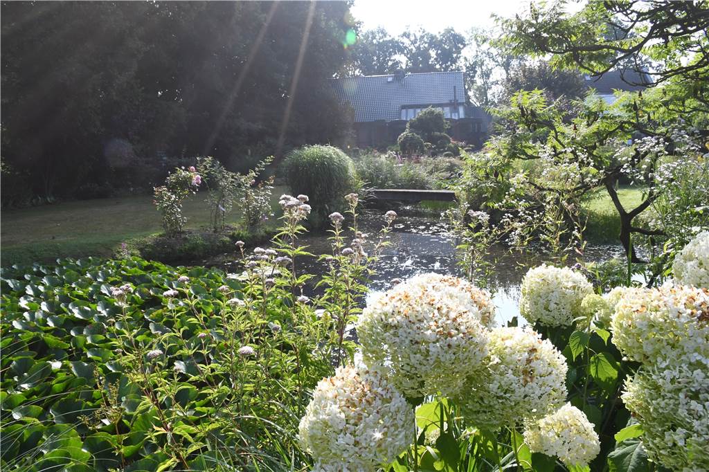 RN-Sommerserie: Udo Holz hat einen Cottage-Garten mitten in Selm
