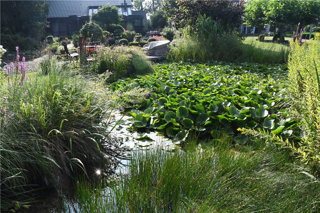 RN-Sommerserie: Udo Holz hat einen Cottage-Garten mitten in Selm