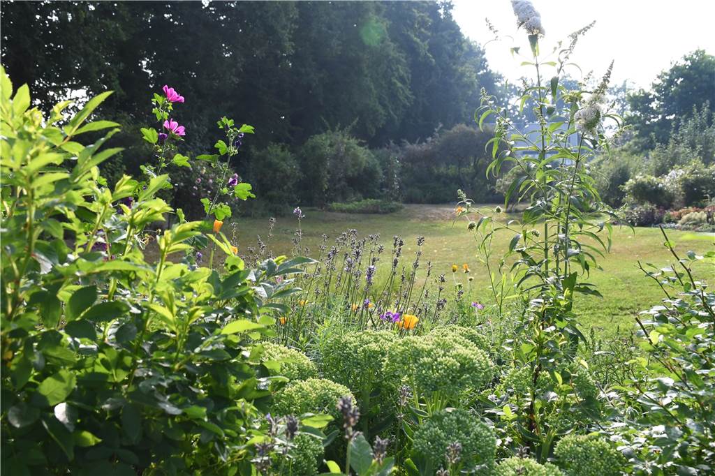 RN-Sommerserie: Udo Holz hat einen Cottage-Garten mitten in Selm
