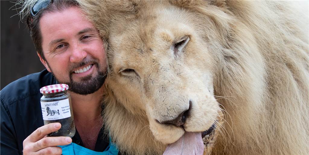 Mit Löwenkot gegen Wildschweine: Dompteur hat Idee für geplagte Golfer Martin Lacey und sein Löwe King Tonga mit einem Glas Kot.