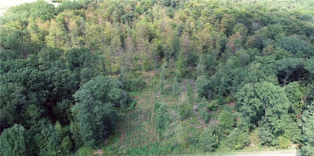 Hitze und Starkregen machen Natur zu schaffen - Selmer Feuerwehr vorbereitet Hitze und Starkregen machen Natur zu schaffen - Selmer Feuerwehr vorbereitet