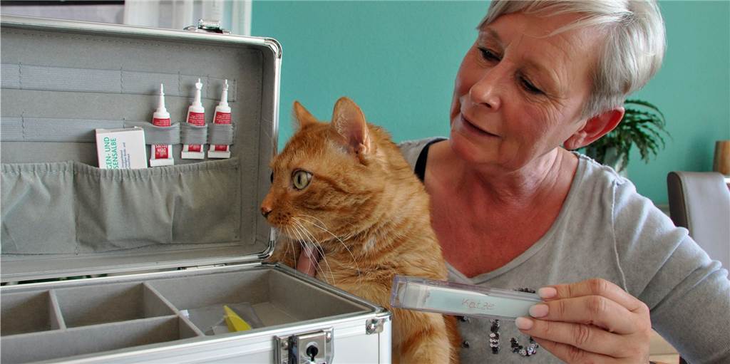 Tierschützer im Kreis vernetzen sich - Ziel: Katzen-Kastrationspflicht Conny Sander hilft Streunern in Dorsten. Sie setzt sich für eine Kastrationspflicht ein.