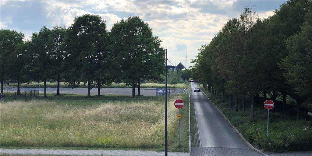 Die Hundewiese im Erinpark soll kommen - aber es braucht Partner Der Erinpark macht einmal mehr von sich reden: Es geht darum, ob dort Bänke aufgestellt werden und eine Hundewiese errichtet werden kann.