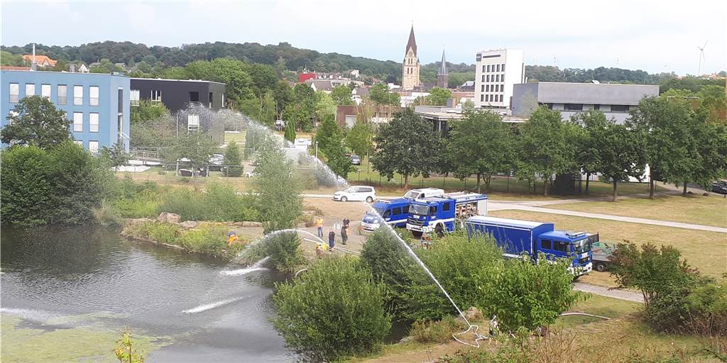 Gänse-Vermehrung in Castroper Parks: „Da helfen nur zwei Dinge“ Das Technische Hilfswerk sprang wiederholt der Stadt zur Seite: Die Ehrenamtlichen retteten den Gondelteich im Stadtgarten und den Erin-Teich vor dem "Umkippen". Auch im Goldschmieding-Park und auf der Rennbahn war das THW im Einsatz.