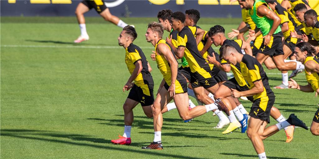 Ein Kader, zwei Teams? So könnte BVB-Trainer Lucien Favre aufstellen Ein Kader, zwei Teams? So könnte BVB-Trainer Lucien Favre aufstellen