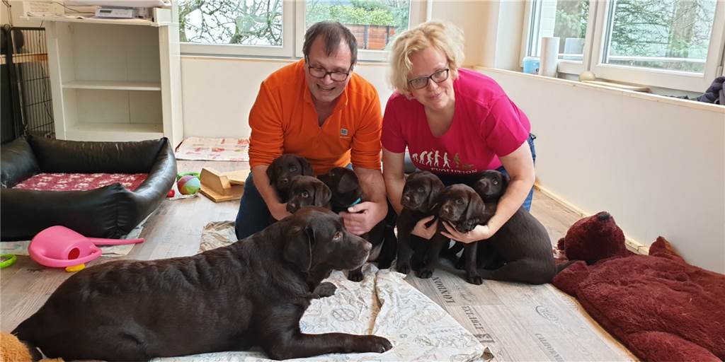 150 Anfragen statt 5: Welpen-Boom bei Dortmunds Hundezüchtern Andrea und Sven Silber züchten seit 2018 Labradore in Dortmund. Noch nie war die Anfrage nach Hundewelpen so hoch wie in diesem Jahr.